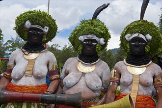 Decorated and painted women celebrating the traditional Sing Sing in the highlands