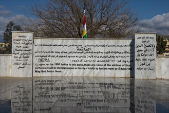 Mass grave on Halabja cemetery