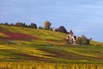 Kreuzkapelle chapel on Wissberg hill in autumn