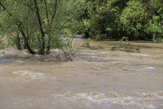 Flood of the river Neckar