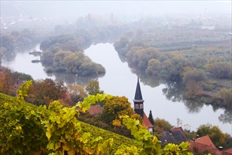 Main River Loop at Volkach in autumn