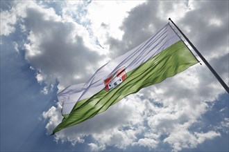 Flag of Ljubljana