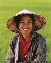 Female worker in a rice paddy