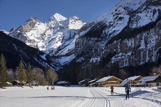 Cross-country skiers in a winter landscape
