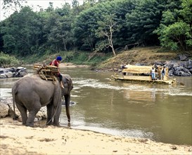 Mahout on an elephant on the Kok River