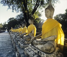 Seated Buddha statues in the gardens of the Wat Yai Chai Mongkon Temple