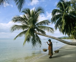 Beach vendor standing next to a horizontal growing palm tree on a beach