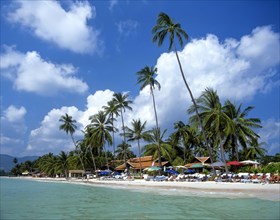 Palm trees and parasols on Chaweng Beach