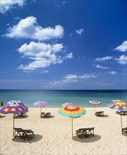 Beach chairs and sunshades on a sandy beach