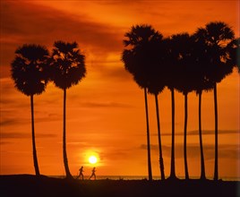Silhouettes of two joggers and palm trees at sunset