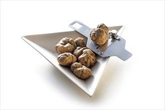 White Alba truffles in a porcelain dish with a truffle slicer