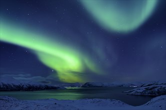 Northern Lights over fjord in winter landscape