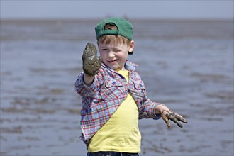 Boy with his hands full of mud in the mudflats of the Wadden Sea