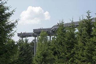 Waldwipfelweg tree top trail