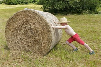Boy pushing a bale of straw