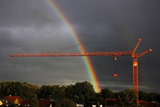 Crane in front of a rainbow