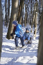 Two boys with sledge in a forest