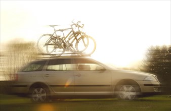 Sand-coloured Skoda Octavia with bikes on the roof