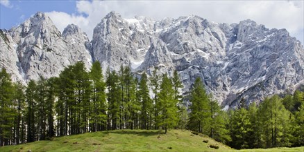 Mountain landscape near the Vrsic Pass with the 2547m high Prisojnik Mountain