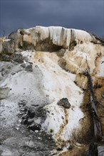 Limestone terraces of Mammoth Hot Springs