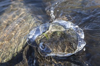 Ice on rocks in a river