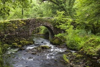 Stone bridge over a stream