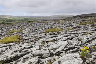 Barren landscape with rocks