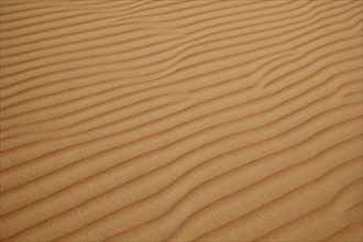 Structure in the desert sand
