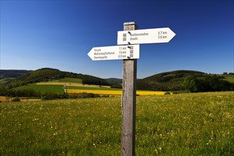 Signposts in a spring landscape