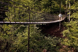 Suspension bridge along the Waldskulpturenweg forest sculpture trail in Wittgenstein-Sauerland