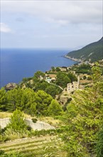 Coastal landscape of the Serra de Tramuntana