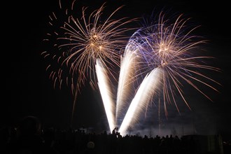 Fireworks with many spectators