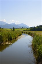 Ach River at Lake Hopfensee