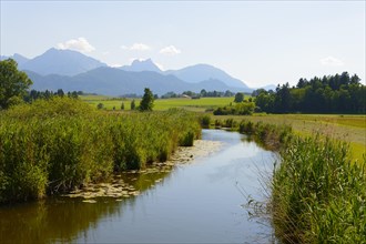 Ach River at Lake Hopfensee