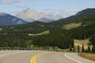 Highway 40 through Kananaskis Country with the foothills of the Rocky Mountains