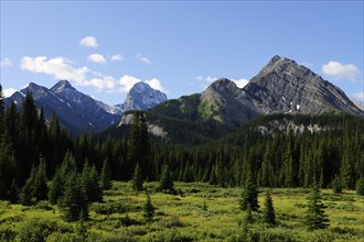 Mountains of the eastern foothills of the Rocky Mountains