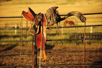Cowboy saddle on an iron fence in the evening light