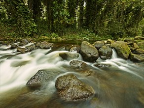 Stream in Waipi'o Valley