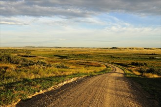 Dirt road leading through the prairie