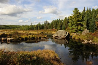 Typical moorlands of the Canadian Shield or Laurentian Plateau with ponds and coniferous forests