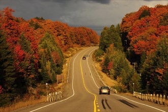 Road through the colourful autumnal Canadian forest