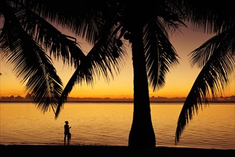 Sunset at Le Morne Beach with palm trees