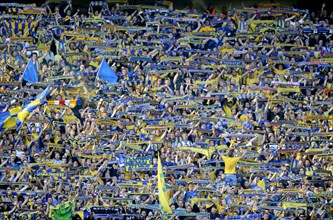 Fans of Eintracht Braunschweig showing their scarves