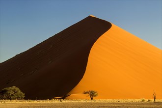 Sand dune 45