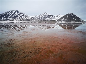 Fjord with red algae