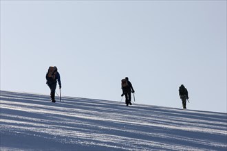 Mountaineers climbing a glacial field to Mt Schwarzenstein