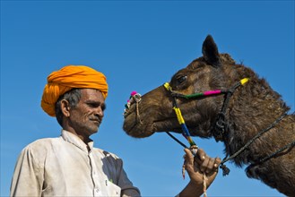 Indian man with an orange turban holding his camel by the reins