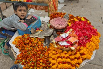 Young boy sitting at a stand for flowers and ritual offerings
