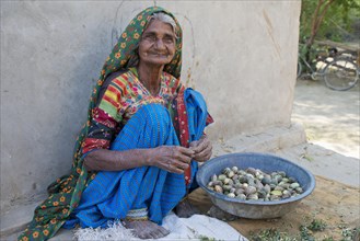 A friendly elderly woman in traditional dress sitting on the ground sorting small melons