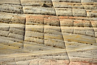 Sandstone structure of Checkerboard Mesa